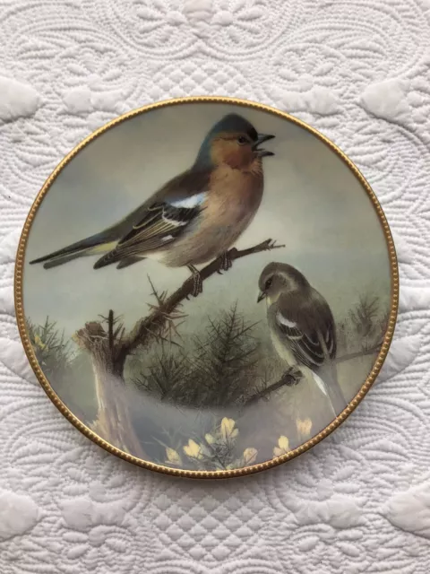 Davenport Thorburn’s GARDEN BIRDS Decorative Plate ~ The Chaffinch