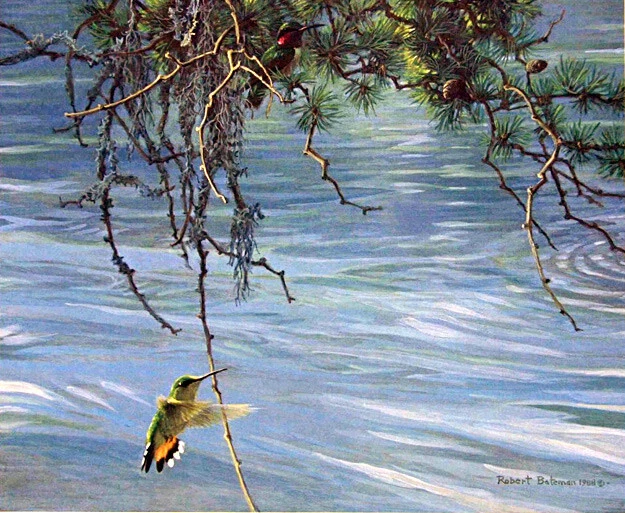 Robert Bateman Broad Tail Hummingbird Pair