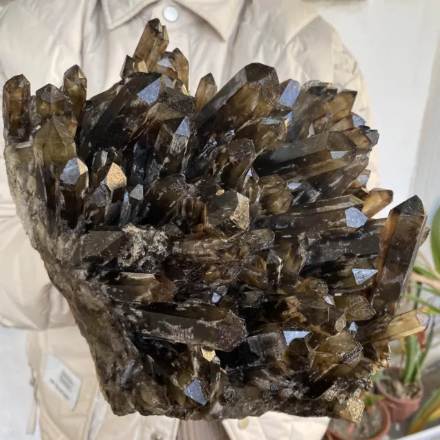 12.45LB Large Natural Smoky Quartz Cluster Black Crystal Specimen Healing Stone