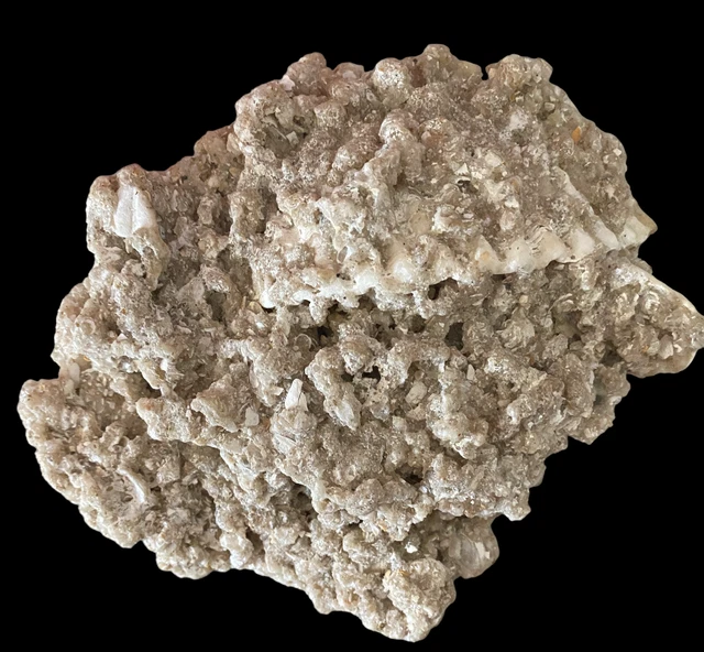 Natural Brain Coral White Real Sea Specimen Aquarium Decor 7 oz. 6 inch