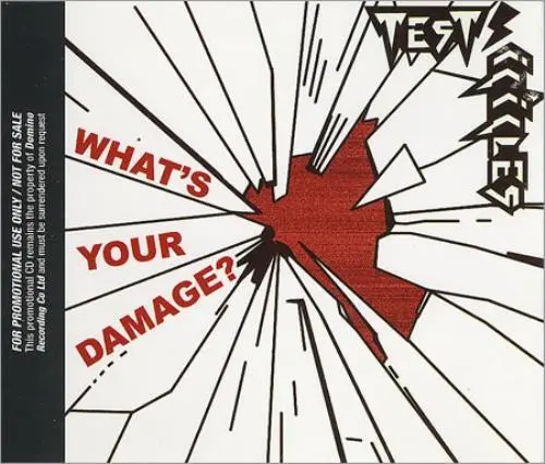 What's Your Damage Test Icicles CD single (CD5 / 5") UK promo