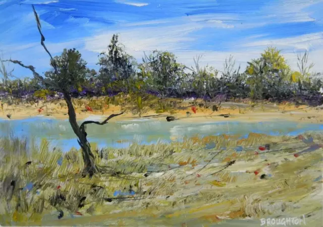 Australian Acrylic Oil Painting  Yabbie Country By Broughton    P340