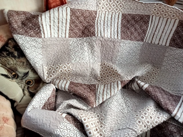 Una Hermosa Colcha Acolchada Talla Única