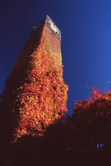 35 MM Color Slides Pro Photo Architecture Clock Tower Red Leaves Autumn #23 1996
