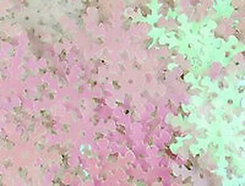 Sequins Flakes Holographic 2 CM 50 G