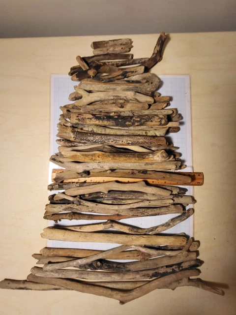 50 palos naturales de madera a la deriva madera de playa costa noreste mar usados 8,5 cm 40 cm