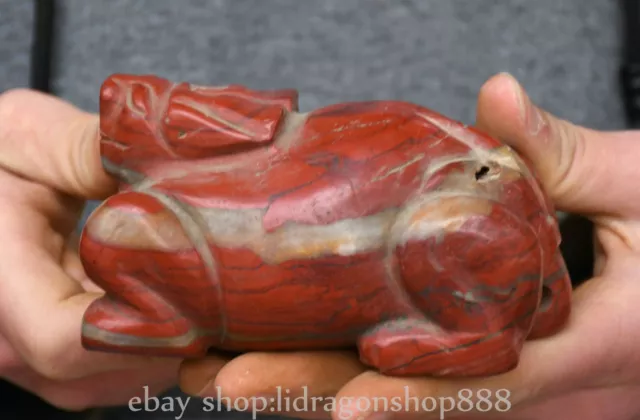 4.4" Old Chinese Hongshan culture Red Turquoise Carving Dragon turtle Statue