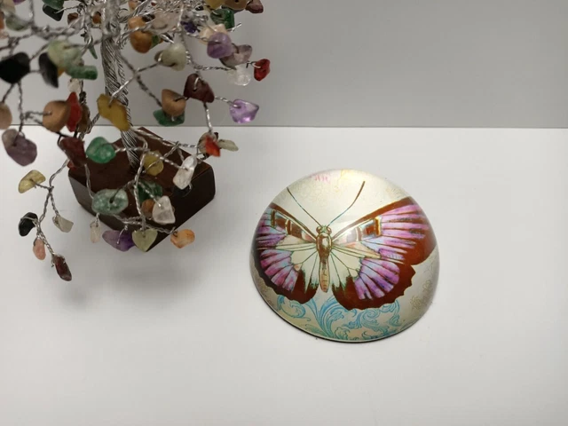 Vintage Glass Dome Butterfly Paperweight - Home Decor - Art Glass - Clear -