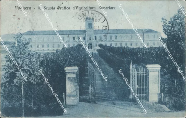 cm95 cartolina voghera r.scuola pratica d'agricoltura superiore pavia 1920