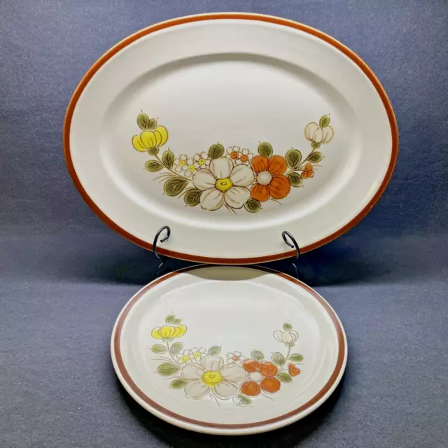 Woodhaven Collection SunnyBrook Oval 16.5" Serving Platter & 10.5" Dinner Plate