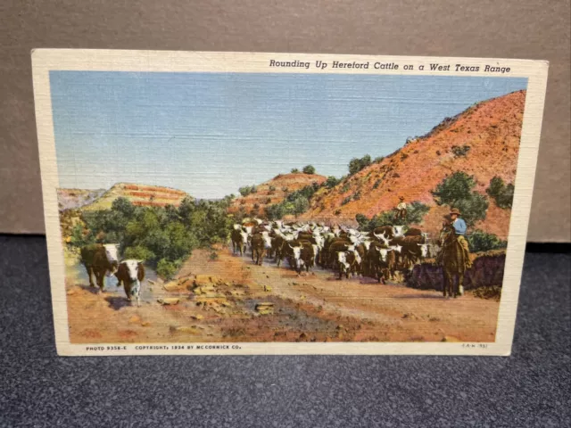 Rounding Up Hereford Cattle On West Texas Range Postcard￼￼