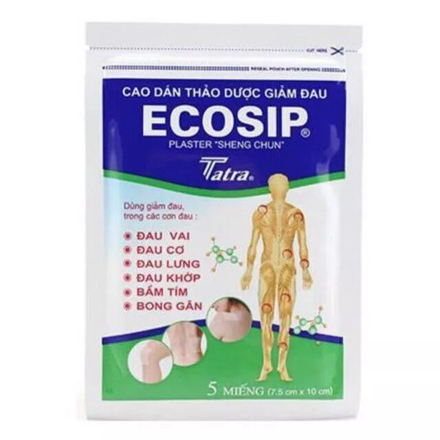 10 packs x Plaster Vietnam ECOSIP Medicated Muscle Pain Relief 7.5 x 10 cm