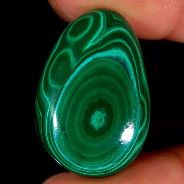 27.15Cts.100%Natural Green Designer Malachite Fancy Cabochon 17x25x5mm Gemstones