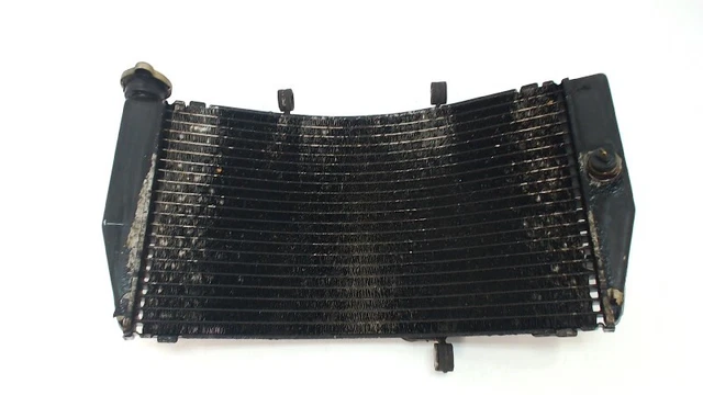 19010MCJ003 RADIATORE Honda CBR 900 RR Fireblade 2000-2001 (CBR929RR SC44)