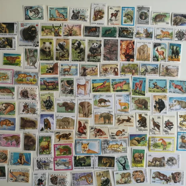 Wild Animals on Stamps Collection - 100 to 1000 Different Stamps