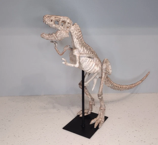 Zentique Polyresin Cast Distressed Tyrannosaurus T- Rex Skeleton With Base