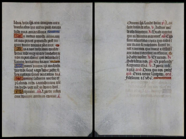 Illuminierte Grafia Su Pergamena Foglia Di Uno Miniatura Um 1500 (078)
