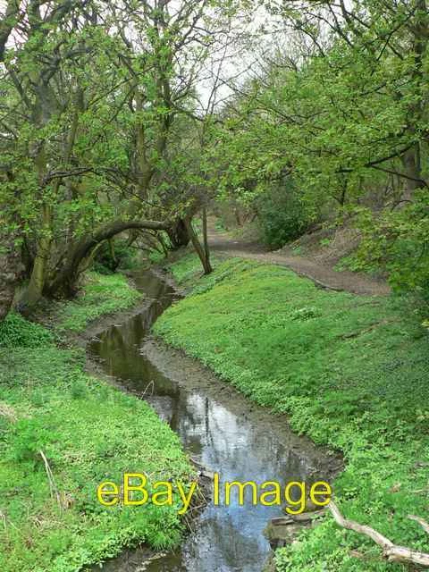 Photo 6x4 Goit, Kirkstall Upper Armley The goit used to be much wider and c2006