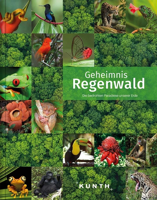Kunth Verlag KUNTH Bildband Geheimnis Regenwald