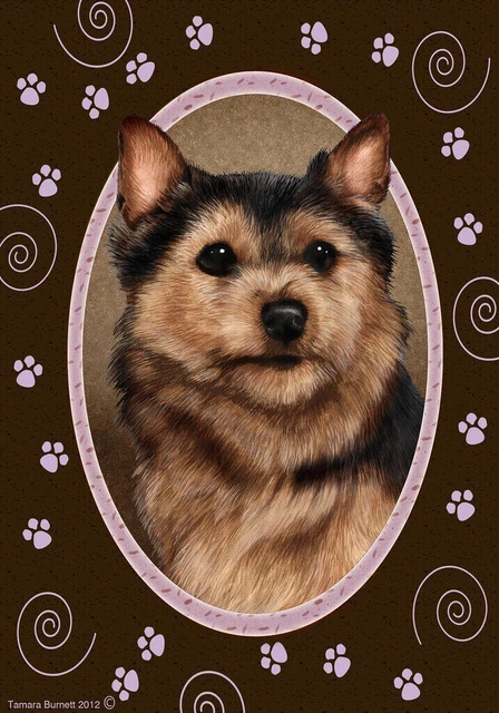 Paws House Flag - Black and Tan Norwich Terrier