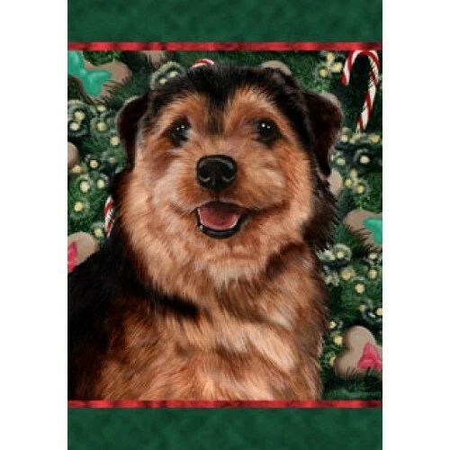 Christmas Holiday Garden Flag - Norfolk Terrier 142251
