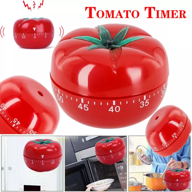 Tomato Timer Kitchen Cooking Cute Reminder Alarm Clock Mechanical Timer Tools x1