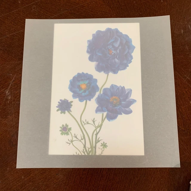 Vellum Sheer Square 6,75"" x 6,75"" - 237 hojas - invitación álbum de recortes artesanías