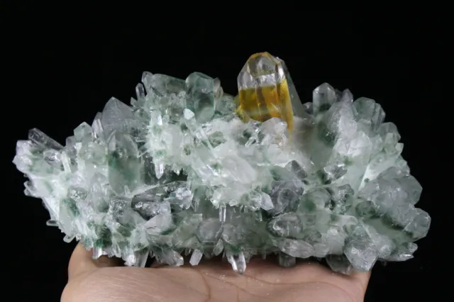 1.89 LB New Find Yellow Green Phantom Quartz Crystal Cluster Mineral Specimen