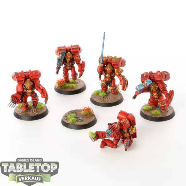 Blood Angels - 5x Vanguard Veteran - bemalt