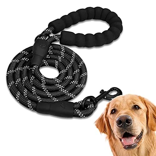EDIPETS, Laisse Chien, Laisse de Dressage pour Chien, Rembourrée, Poignée Souple