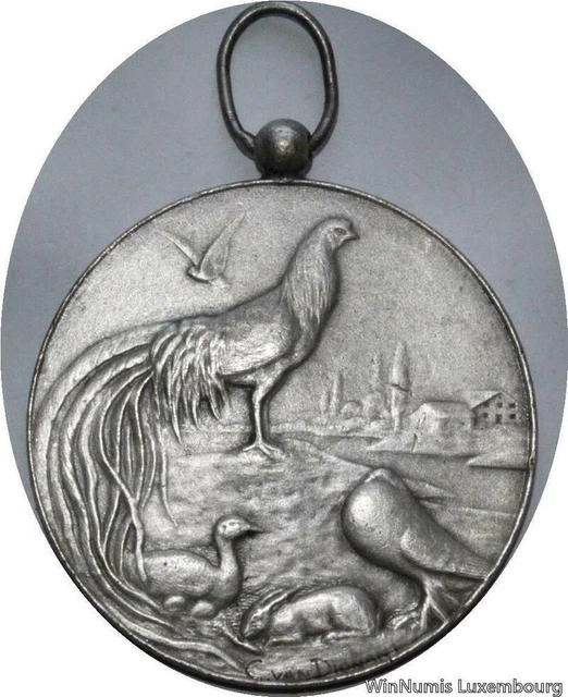 Médaille Roi Albert Belgique - Cheval De Trait Argenté 1950, 57,81g, 55mm