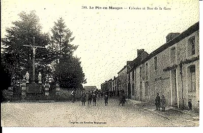 (S-43236) FRANCE - 49 - LE PIN EN MAUGES CPA      FREULON ed.