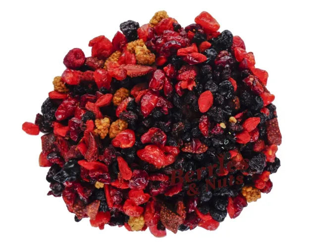 Berries And Nuts International Super Berries Mix | High in Antioxidants 400 Gram