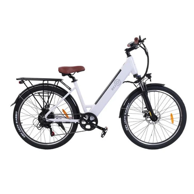 Electric bike next day delivery online