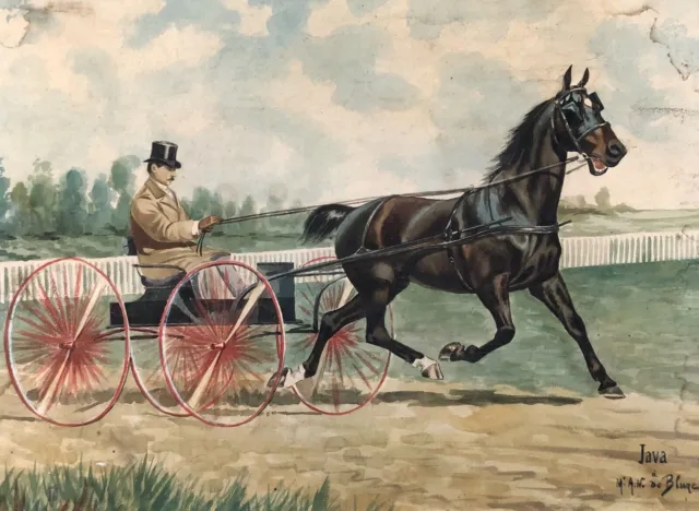 Java, caballo al trote, antigua acuarela dedicada, finales del siglo XIX