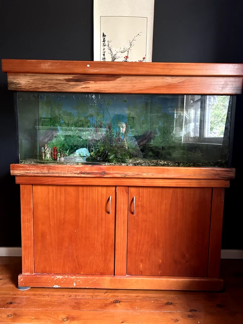 Fish Tank