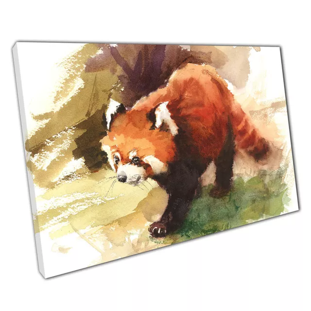 Wild Red Panda Exploring Watercolour Animal Painting Illustration Print Canvas