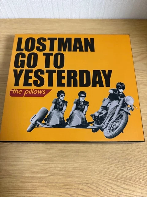 PILLOWS LOSTMAN GO YESTERDAY £153.19 - PicClick UK