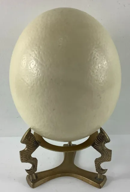Huevo vacío soplado real de avestruz cáscara vacía 6"" L X 5"" D