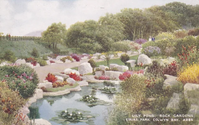 Eiras Park Colwyn Bay Unposted Art Colour Pc Lily Pond Rock , Gardens -Valentine