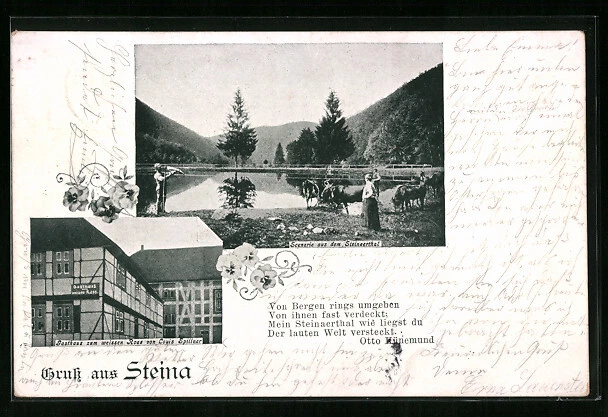 AK Steina, Scenerie aus dem Steinertal, Gasthaus zum weissen Ross 1900