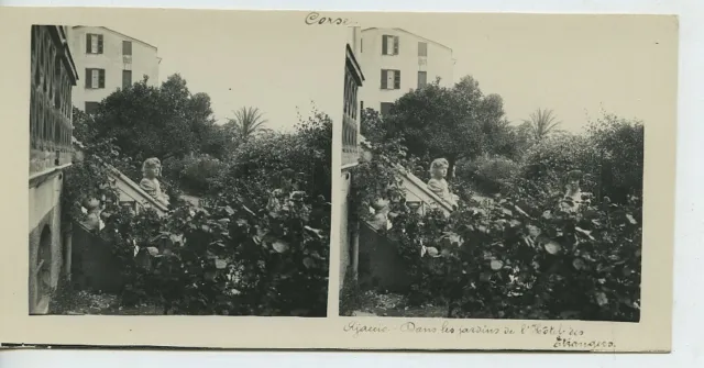 Corsica Ajaccio Hotel des Etrangers Gardens Old Possemiers Stereoview Photo 1920 3