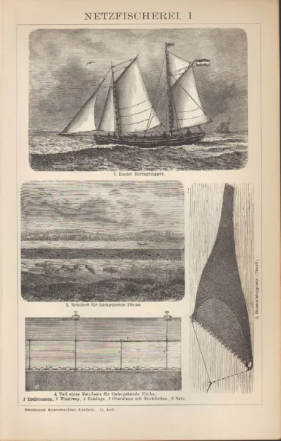 Lithografien 1903: NETZFISCHEREI. I/II. Fischer Schiffe Meer Ozean Netz Fisch