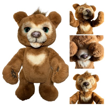 hasbro bear cubby