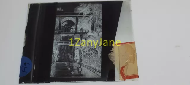F19 GLASS Slide or Negative PATH LEADING TO DOOR WITH GREENERY/BUSHES