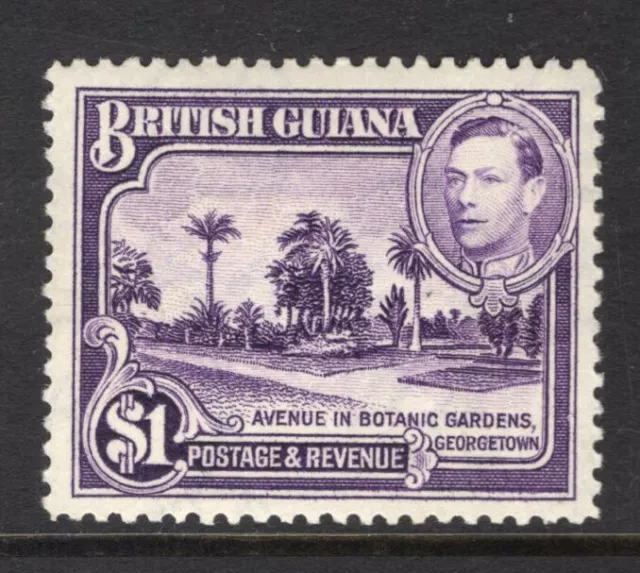 M23389 British Guiana 1938 SG317 KGVI: $1 bright violet perf 12.5. UMM, Cat £29