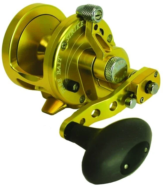 Avet SX6/4MCGRAPTOR SX 2-Speed Conv