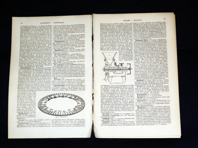 EXCELSIORMÜHLE Mühle Schrotmühle Druck im Text von 1894 – 127 Jahre ORIGINAL