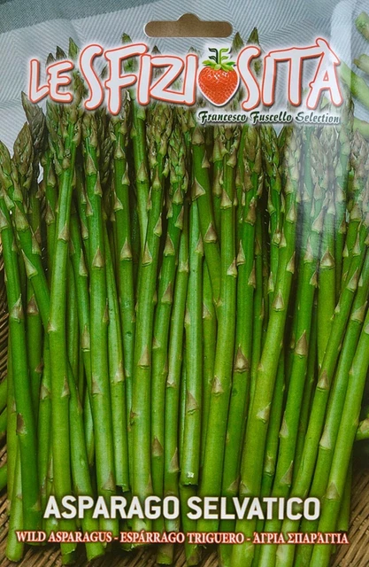 30 Semi Di Asparagi Selvatici - Asparagus Acutifolius Verde Per Orto E Giardino