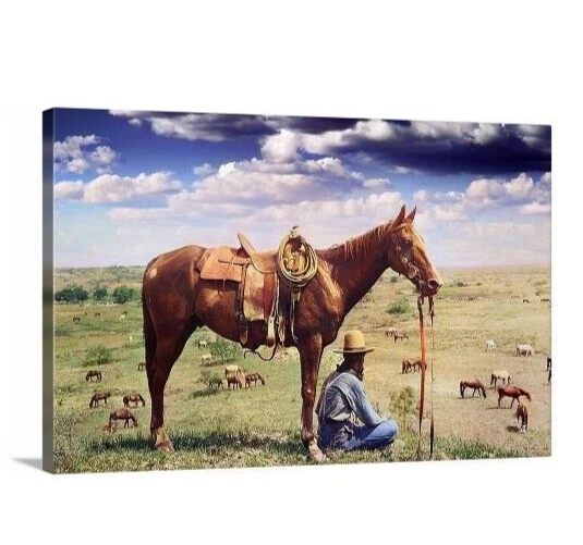 OLD WEST COWBOY cattle Drover at Rest Colorized 1888 Photo 16x20 ready ...